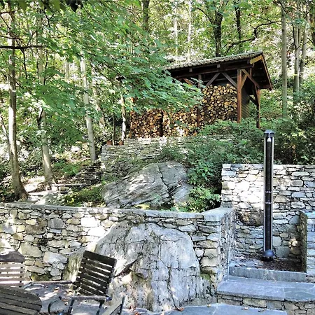 Rustico Gatto & Topolino By Fewotessin * Cugnasco