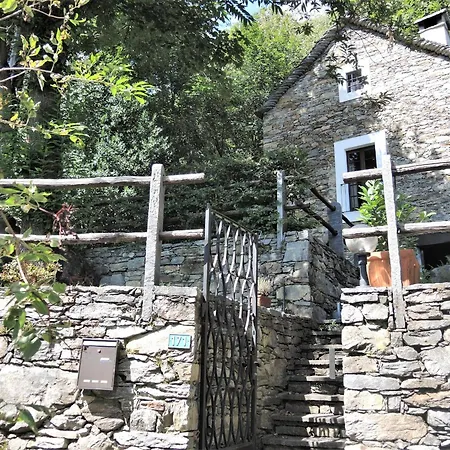 Rustico Gatto & Topolino By Fewotessin *